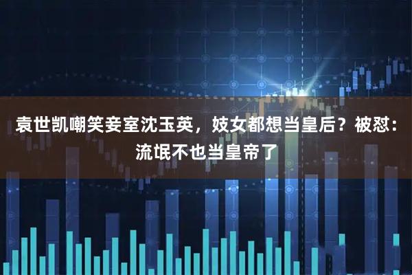 袁世凯嘲笑妾室沈玉英，妓女都想当皇后？被怼：流氓不也当皇帝了